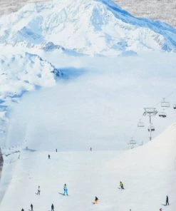 Terez Ski Trip French Terry Sweatshirt