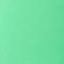 Terez Spring Green Colorblock TLC Y-Back Tank 5 Terez Spring Green Colorblock TLC Y-Back Tank