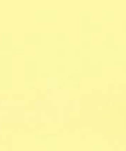 Golden Times Lemon TLC Leggings