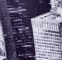 Terez Above NYC Hi-Shine Leggings