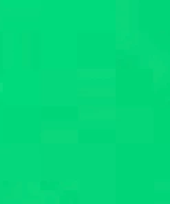 Golden Times New Arrivals Spring Green TLC Booty Short